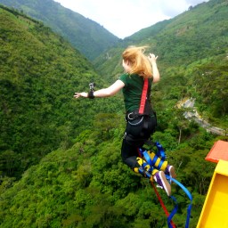 Watch the Gringos Fly!