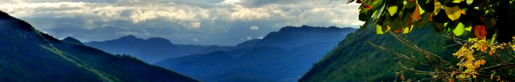 Traveler at the Edge