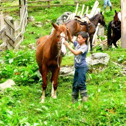 Riding Horses in Colombia