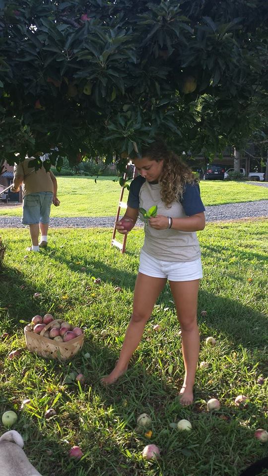 applepicking1