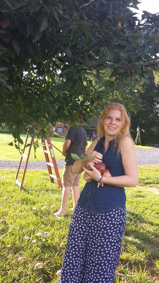 applepicking2
