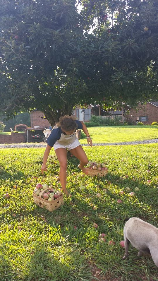 applepicking3