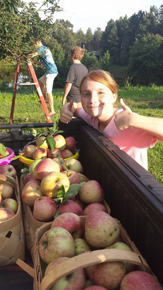 applepicking4