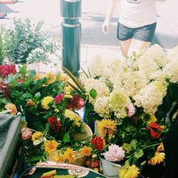 Taking the Chikadees to College: Part Two