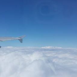 Peace Comes With a Red Piano