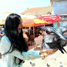 Mary Poppins’ Pigeons