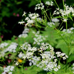 Skakavac Falls: Part One