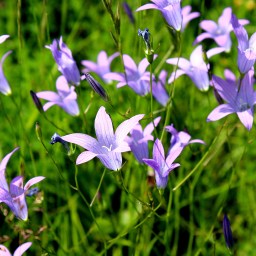 Skakavac Falls Part 3