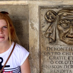 Halfway Through Doge