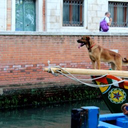 Cicchetti and Gallerie dell’Accademia