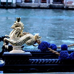 A Bumper-Boats-Meets-Lazy-River-Carnival-Ride