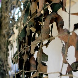 Back At It: The Tunnel of Hope