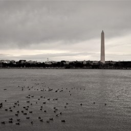 A Moment With Lincoln – And Without Instagram.